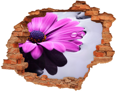 Hole in the wall decal A floral oasis behind the wall