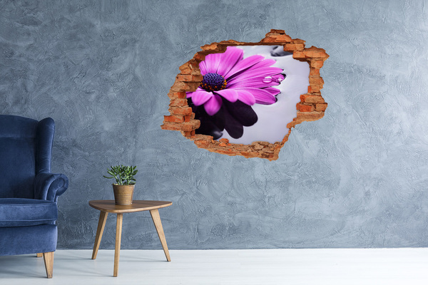 Hole in the wall decal A floral oasis behind the wall