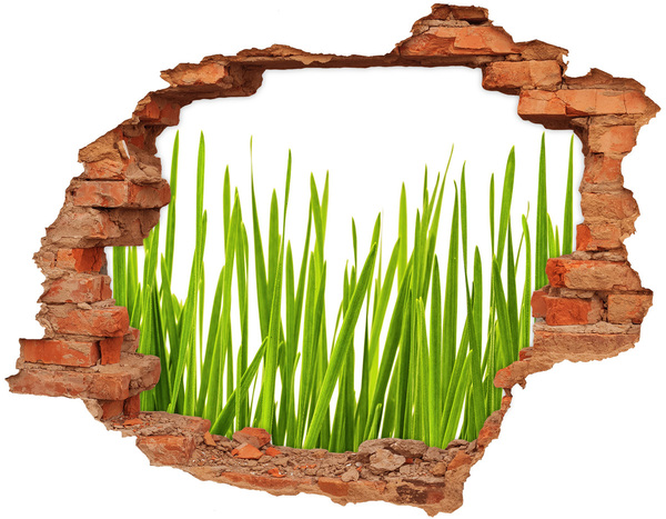 Hole in the wall decal Green meadow through the wall