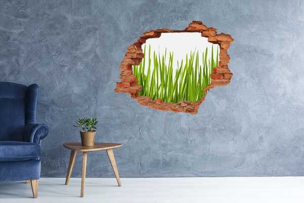 Hole in the wall decal Green meadow through the wall