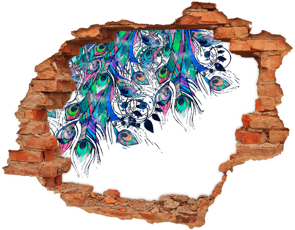 Hole in the wall decal Colorful feathers in a hole in the wall