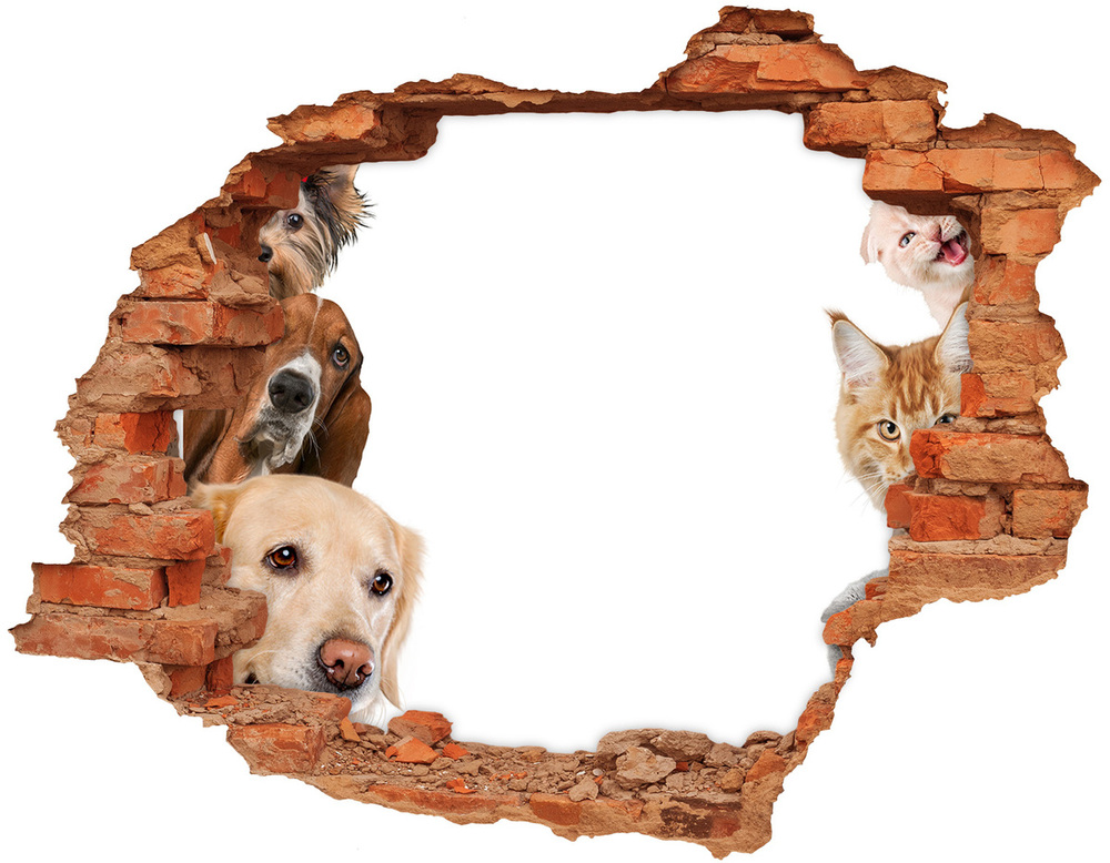 3D wall hole wallpaper Dogs and cats