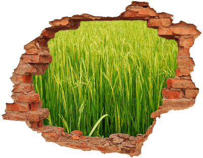Hole in the wall sticker Green rice fields