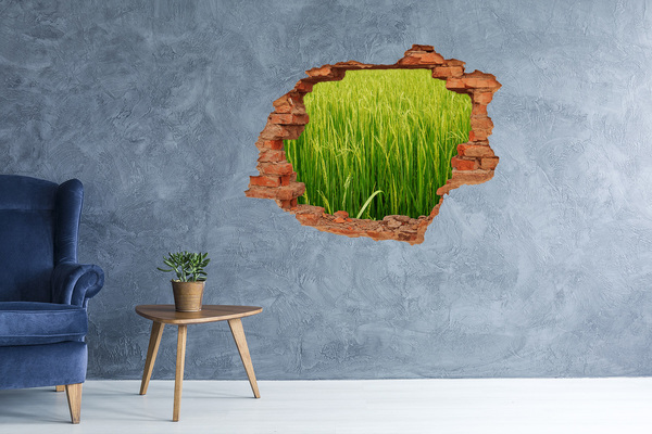 Hole in the wall sticker Green rice fields