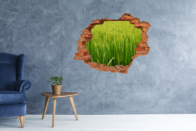 Hole in the wall sticker Green rice fields