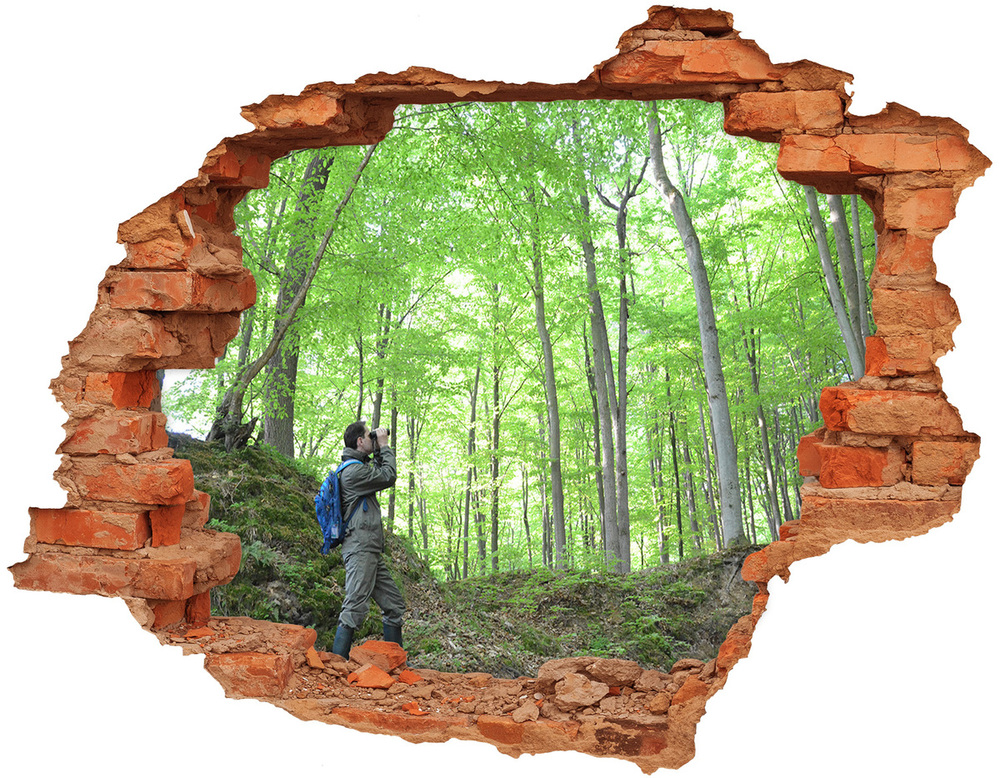 Hole wall sticker Ornithologist in the forest