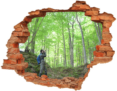 Hole wall sticker Forest Oasis