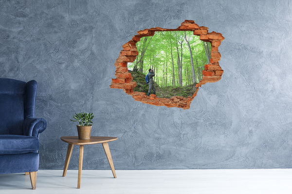 Hole wall sticker Forest Oasis