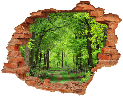 Hole wall sticker Green Forest in a Hole in the Wall