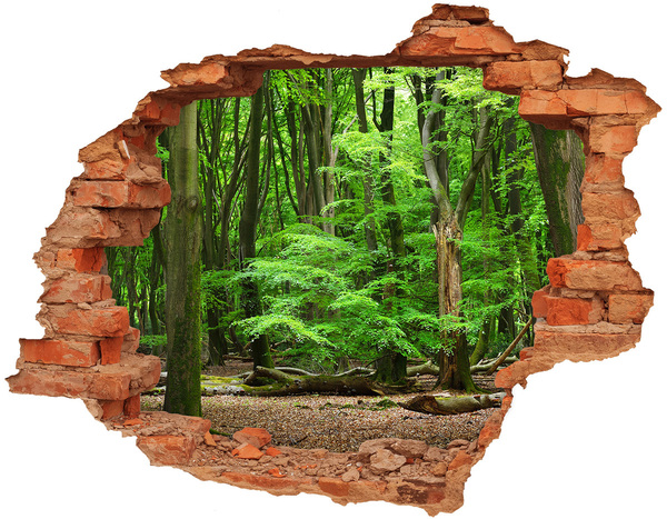 3D wall hole Dutch forest