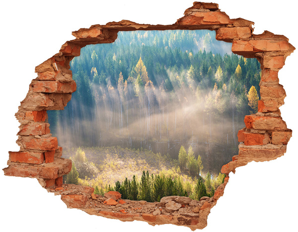 Hole in the wall sticker Fog in the forest