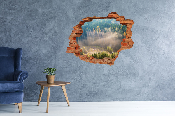 Hole in the wall sticker Fog in the forest