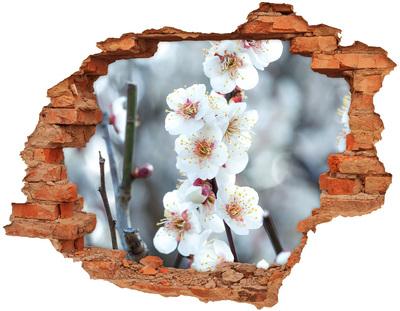 Hole wall sticker Spring Flowers Through a Hole in the Wall