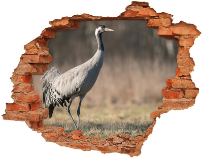 Hole wall sticker Crane in its natural habitat