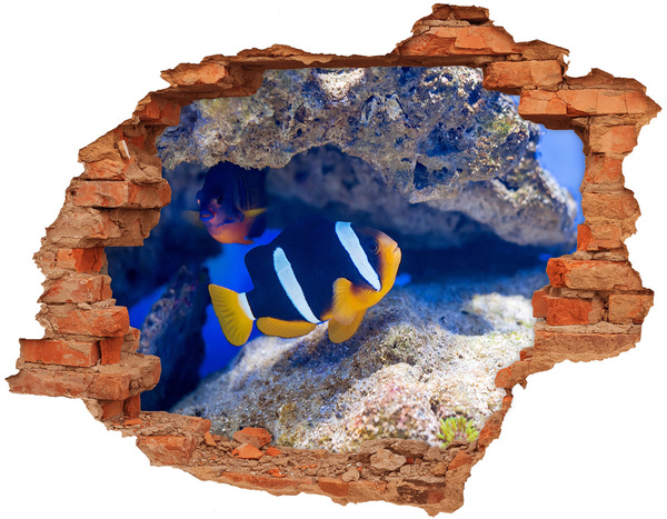 Hole wall sticker The underwater world of the coral reef