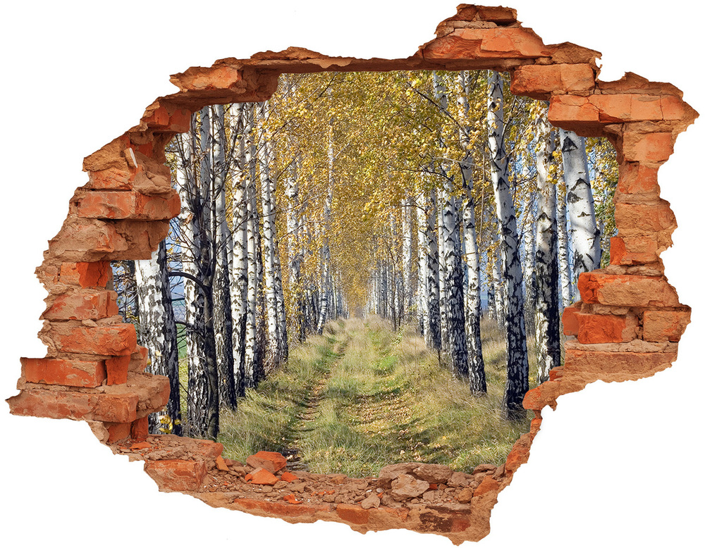 Hole in the wall decal Birches in autumn