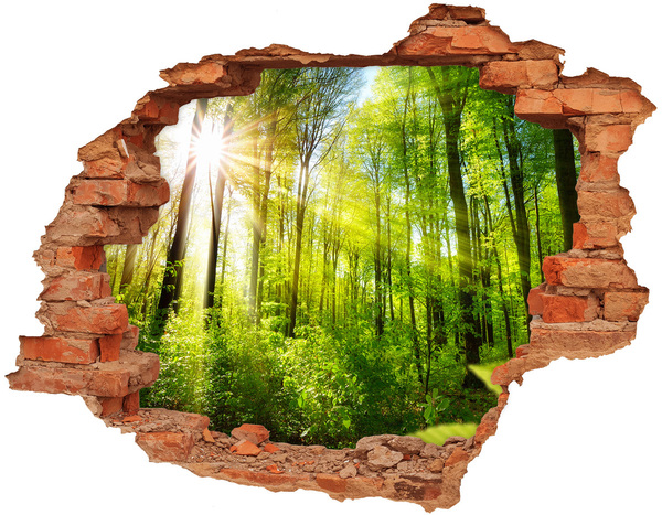 3D wall hole wallpaper Green forest with sun rays
