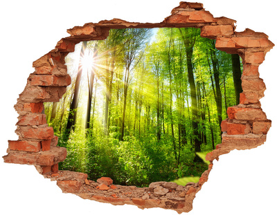 3D wall hole wallpaper Green forest with sun rays