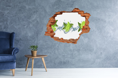 Hole in the wall decal Lime