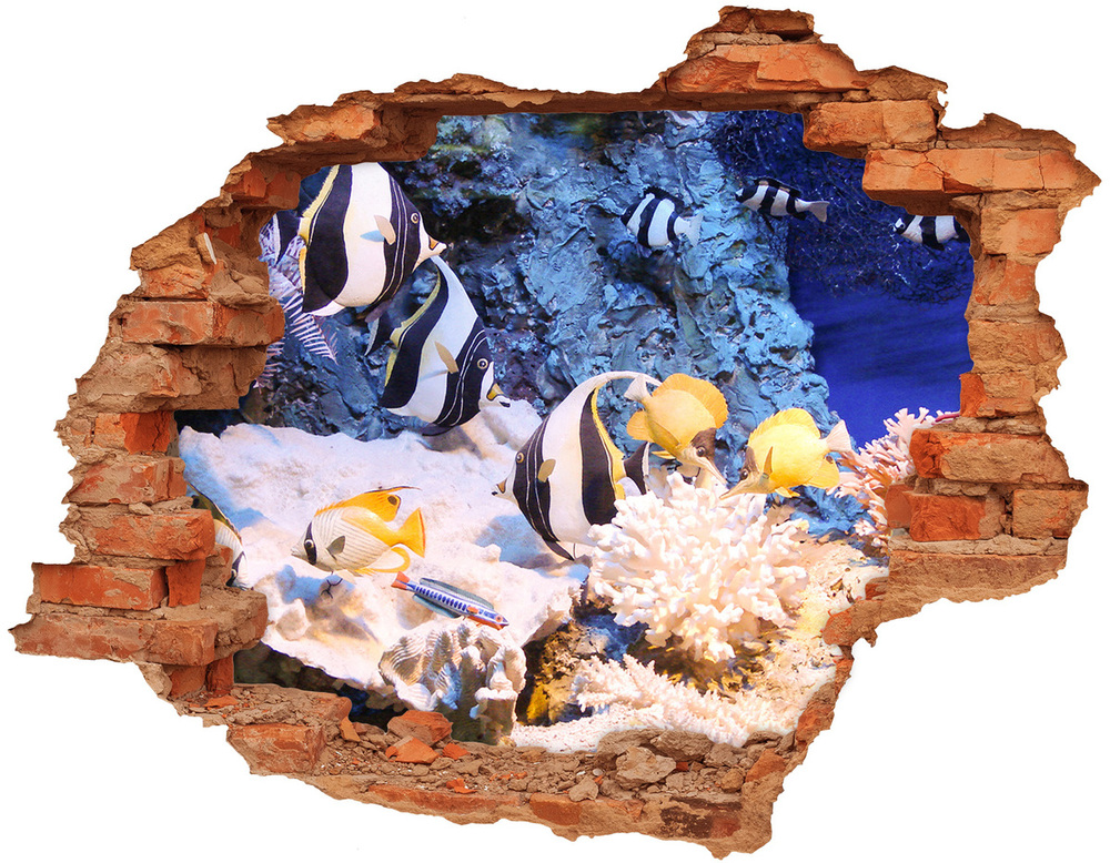 3D wall hole wallpaper Coral reef