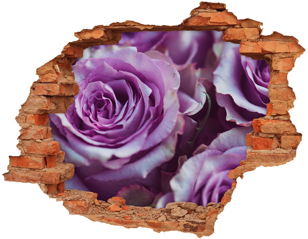 Hole in the wall sticker Purple roses