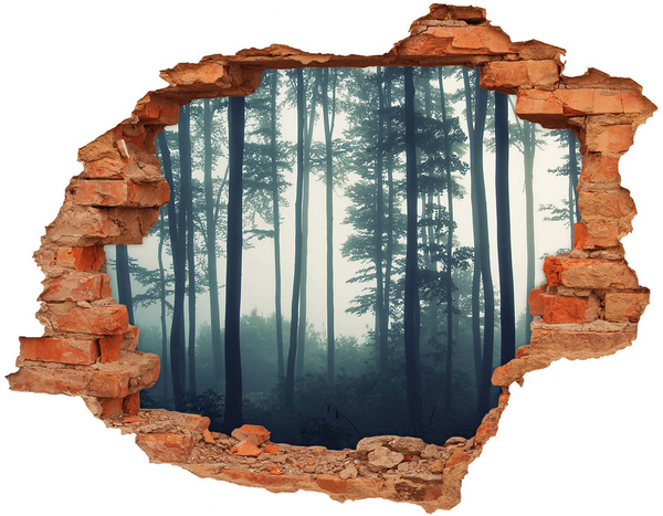 Hole wall sticker Misty forest scenery