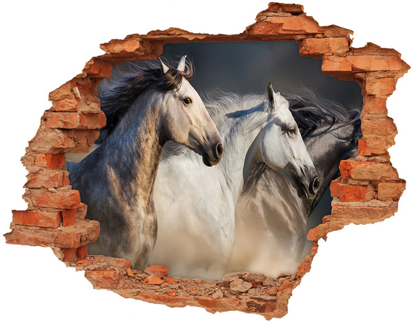 Hole wall sticker Two horses in motion