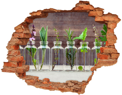 3D wall hole A green oasis in glass jars