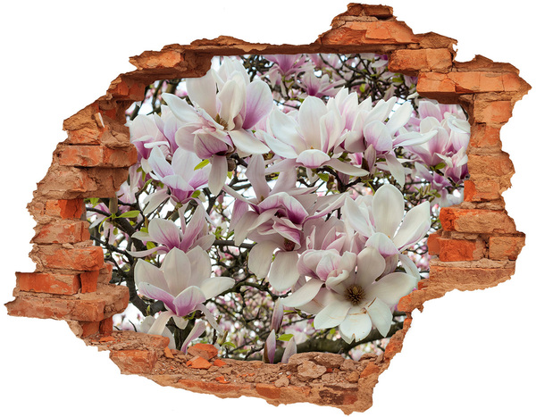 Hole in the wall sticker Magnolia flowers