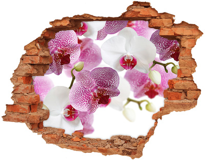 3D wall hole wallpaper Orchid wall mural