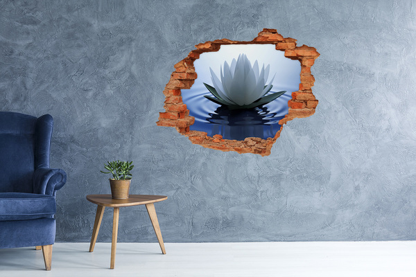 3D wall hole wallpaper Lotus flower on the water
