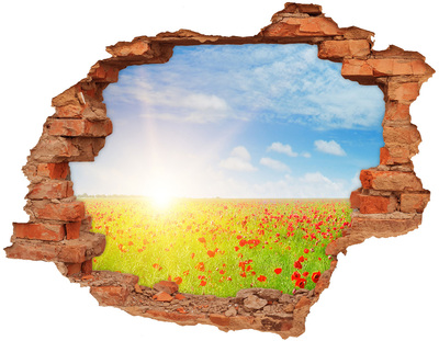 Hole wall sticker Flower meadow in the sunshine
