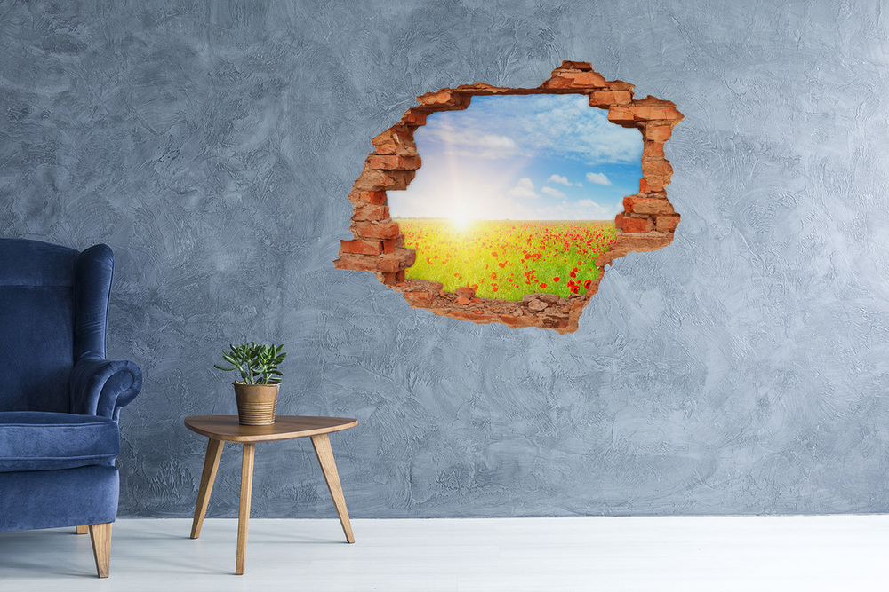 Hole wall sticker Mak field