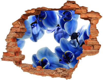 3D wall hole wallpaper Blue orchid