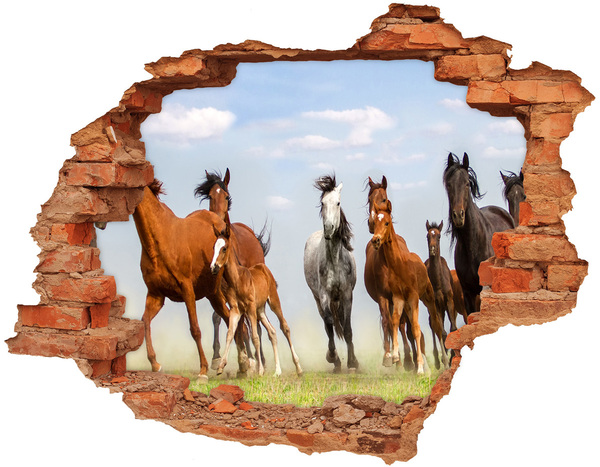 Hole in the wall decal Galloping horses in the meadow