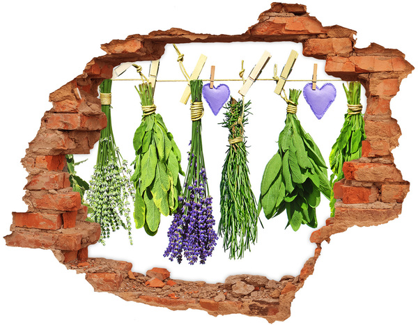 Hole in the wall decal Hole in the Wall Herb Garden