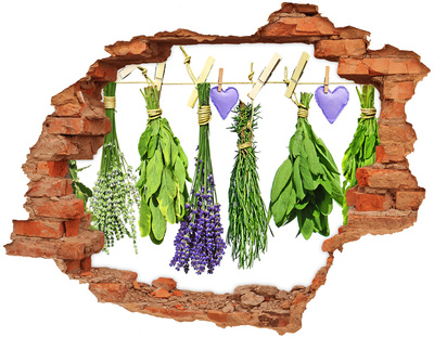 Hole in the wall decal Herbs on a string