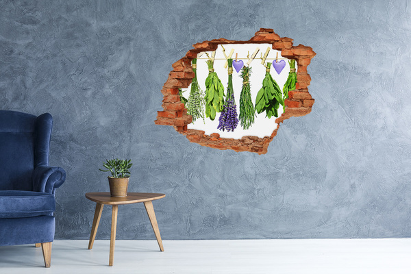 Hole in the wall decal Herbs on a string