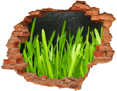Hole in the wall decal Green paradise behind the wall