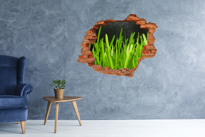 Hole in the wall decal Green paradise behind the wall