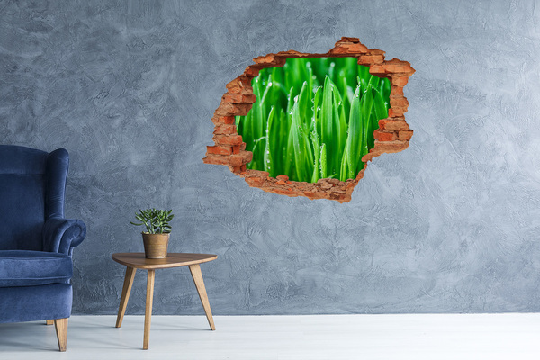 Hole wall sticker Green meadow with drops of water