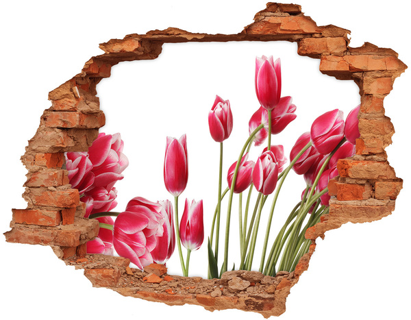 3D wall hole Floral explosion in concrete