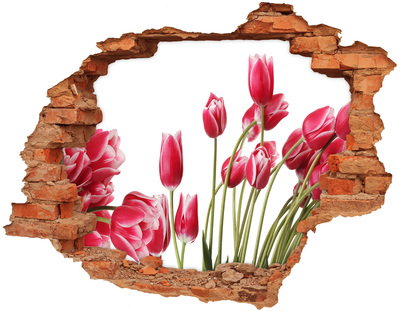 3D wall hole Red tulips