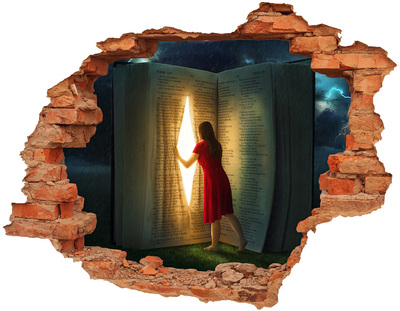 3D wall hole A Hole in Reality