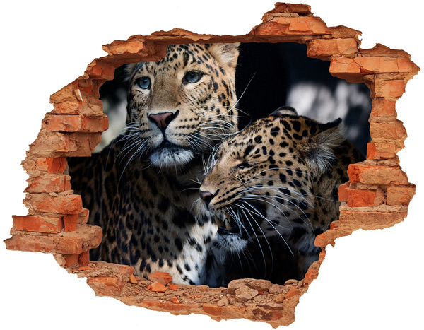 3D wall hole Two leopards