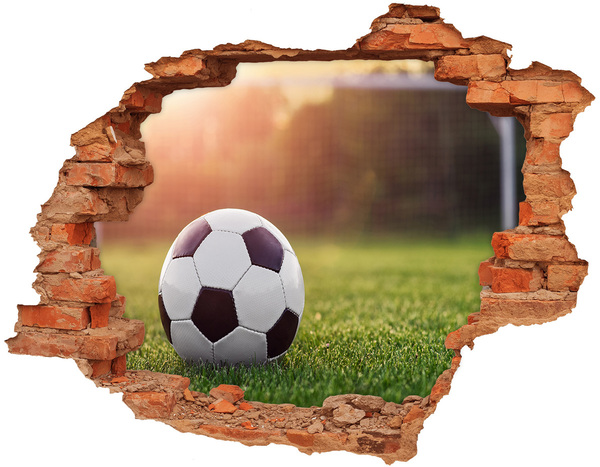 3D wall hole wallpaper Football gate on the pitch