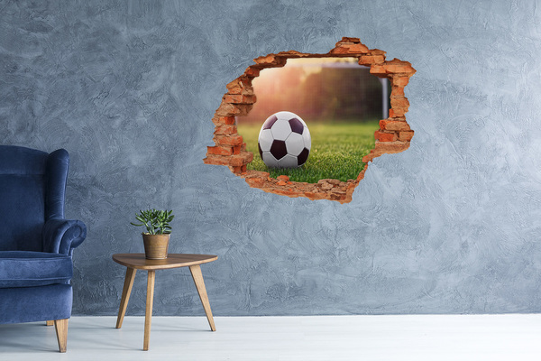 3D wall hole wallpaper Football gate on the pitch