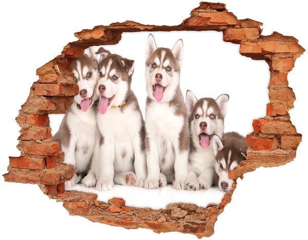 Hole wall sticker Husky puppies behind a hole in the wall