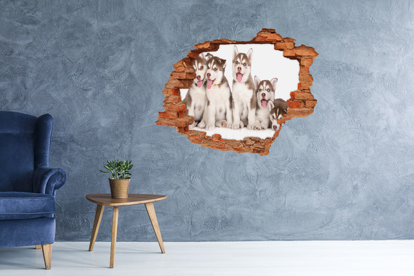 Hole wall sticker Husky puppies behind a hole in the wall