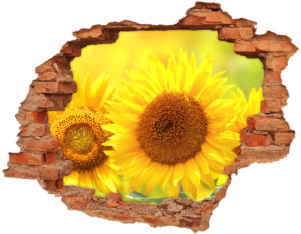 Hole wall sticker Sunflower in concrete